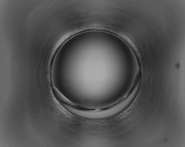 X0000091181342200708231520