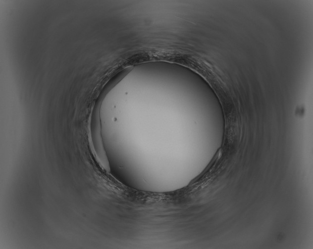 X0000091181345200708231519