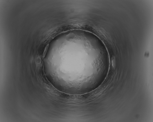 X0000091181347200708231519