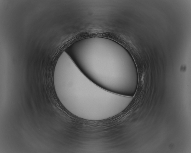 X0000091181348200708231519