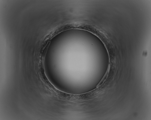 X0000091181349200708231519