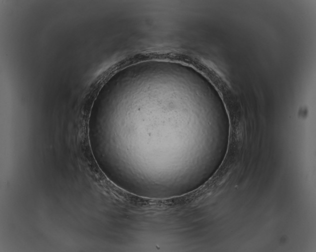 X0000091181350200708231519