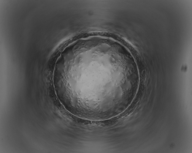 X0000091181351200708231519