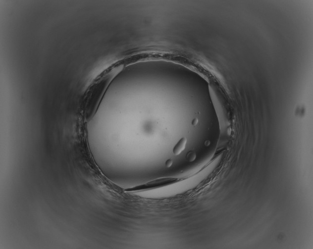 X0000091181352200708231519