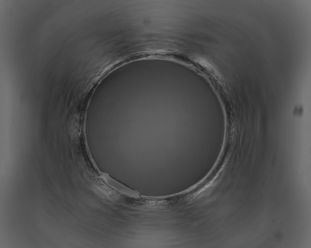 X0000091181353200708231519