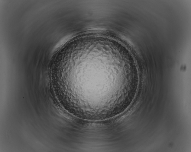 X0000091181354200708231519