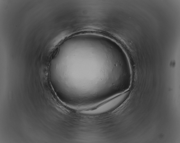 X0000091181355200708231519