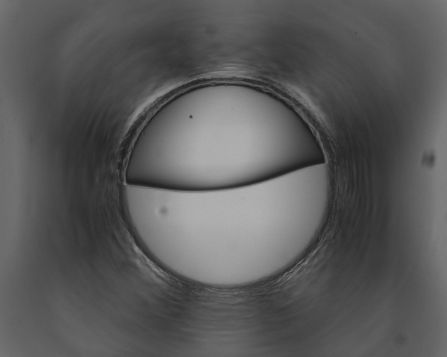 X0000091181356200708231519