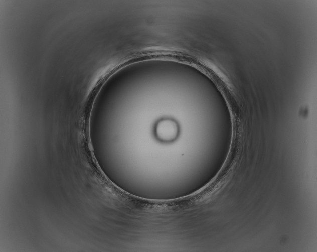 X0000091181357200708231519