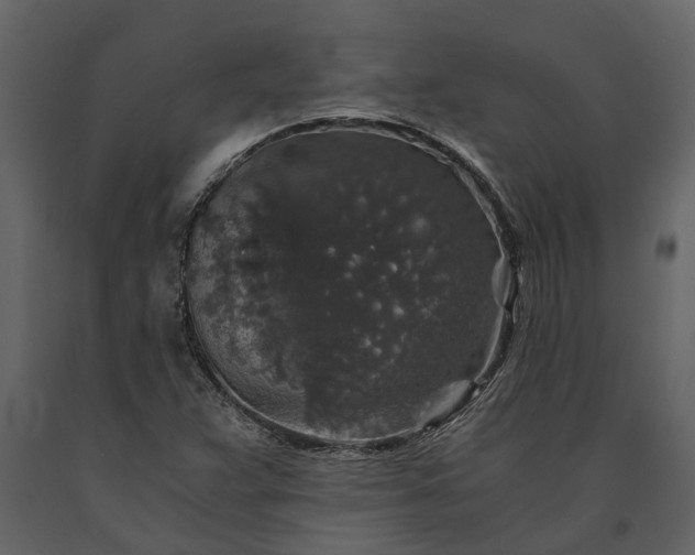 X0000091181359200708231519
