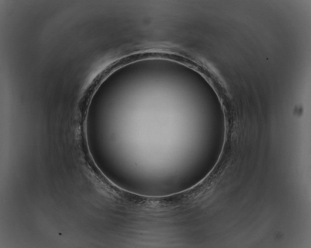 X0000091181360200708231519