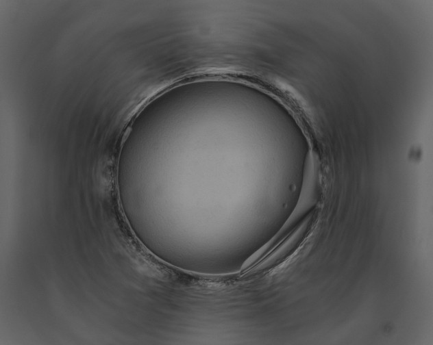 X0000091181361200708231519