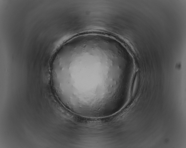 X0000091181363200708231519