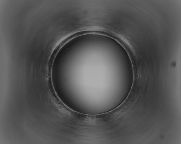 X0000091181364200708231519