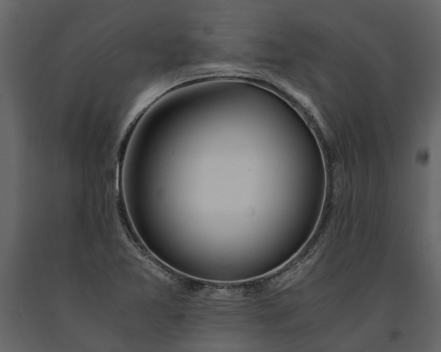 X0000091181365200708231519