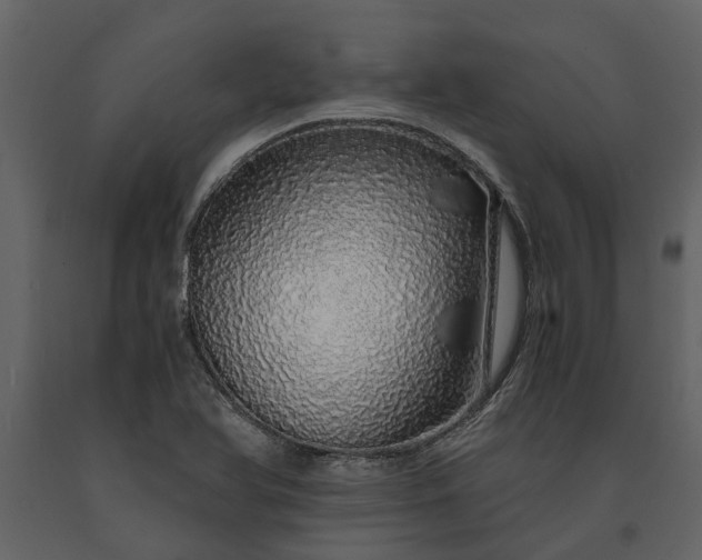X0000091181366200708231519
