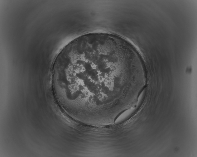 X0000091181367200708231519