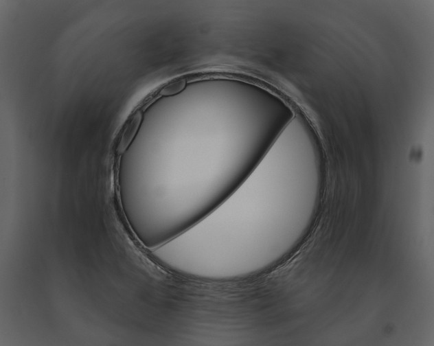 X0000091181368200708231519