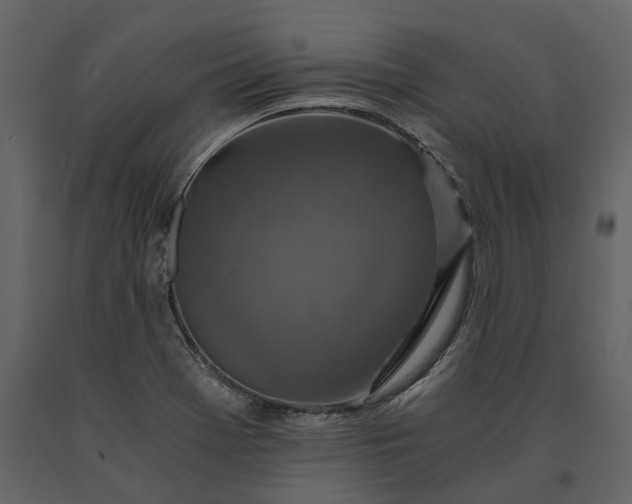 X0000091181369200708231519