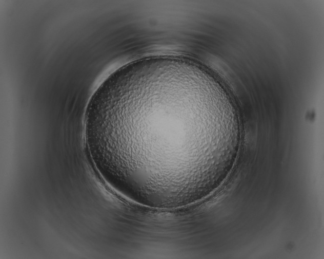 X0000091181370200708231519