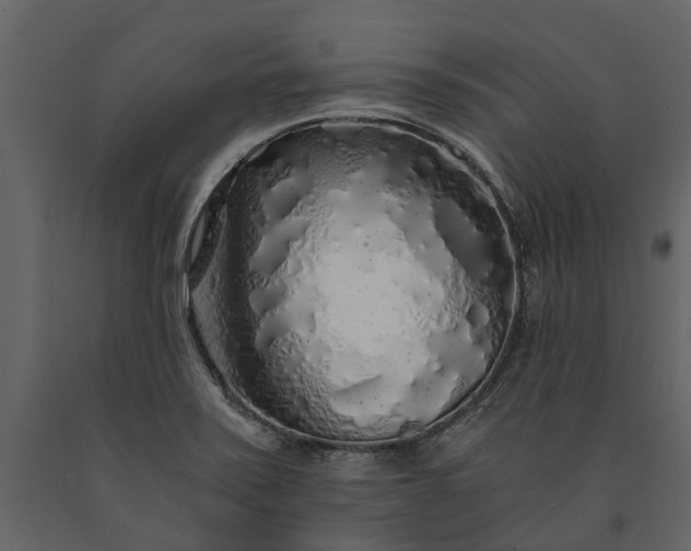X0000091181371200708231519
