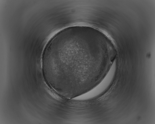 X0000091181372200708231519
