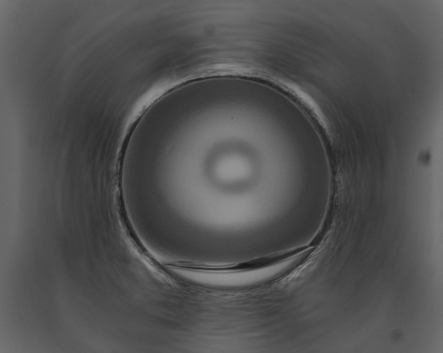 X0000091181373200708231519