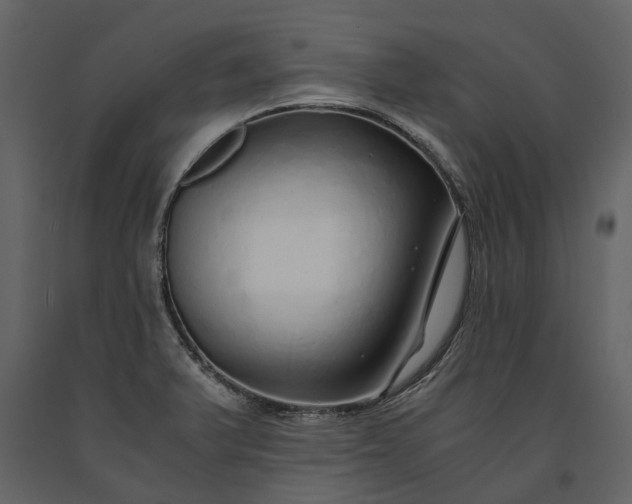 X0000091181375200708231519
