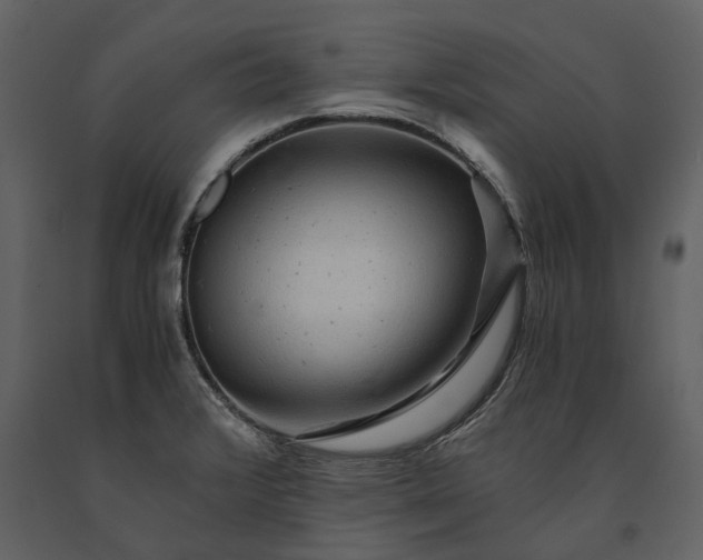 X0000091181376200708231519