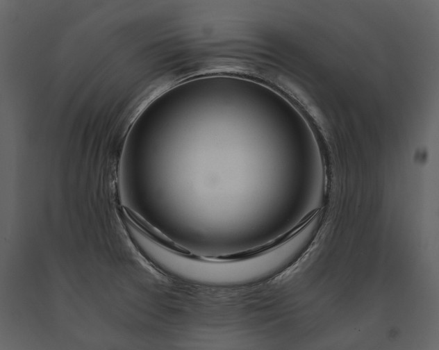 X0000091181377200708231519