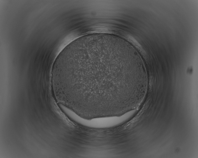 X0000091181378200708231518