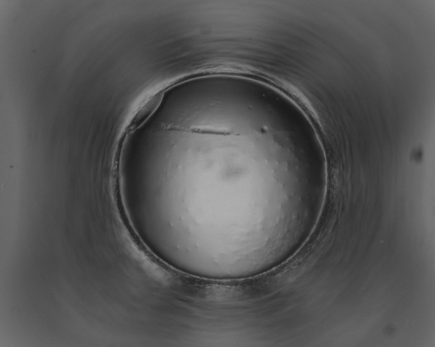 X0000091181379200708231518