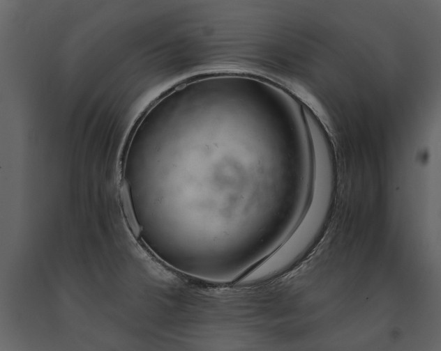 X0000091181380200708231518