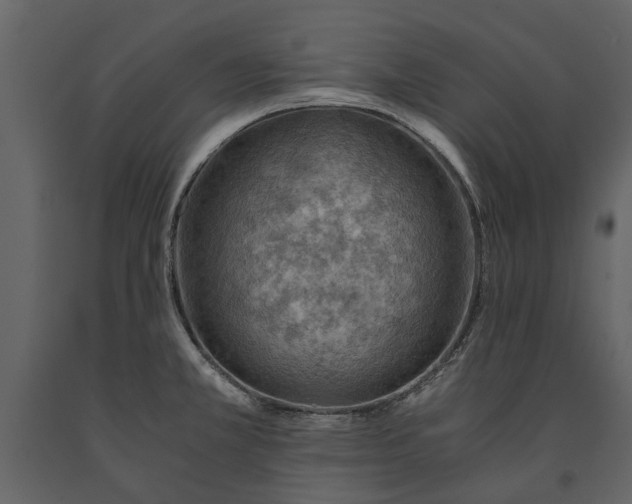 X0000091181381200708231518