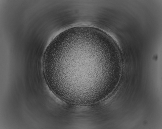 X0000091181382200708231518