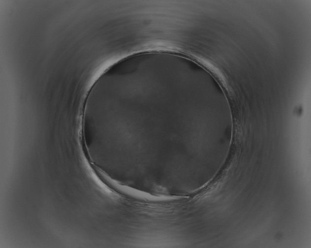 X0000091181383200708231518