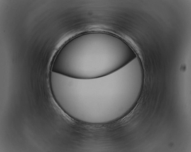 X0000091181384200708231518