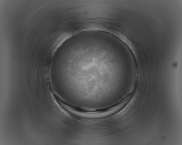 X0000091181385200708231518