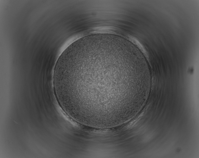 X0000091181386200708231518