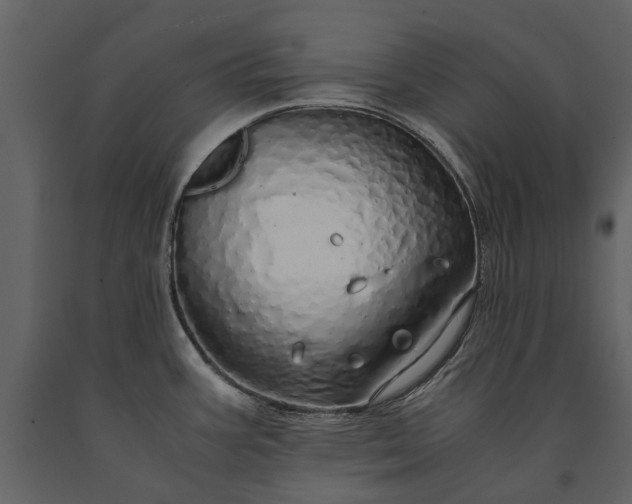 X0000091181387200708231518