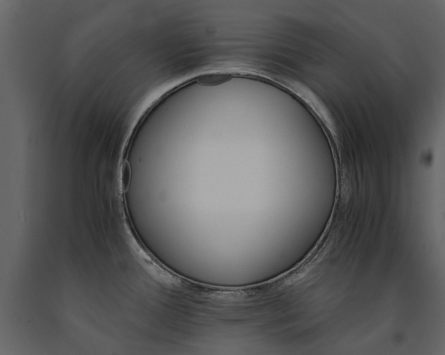 X0000091181388200708231518