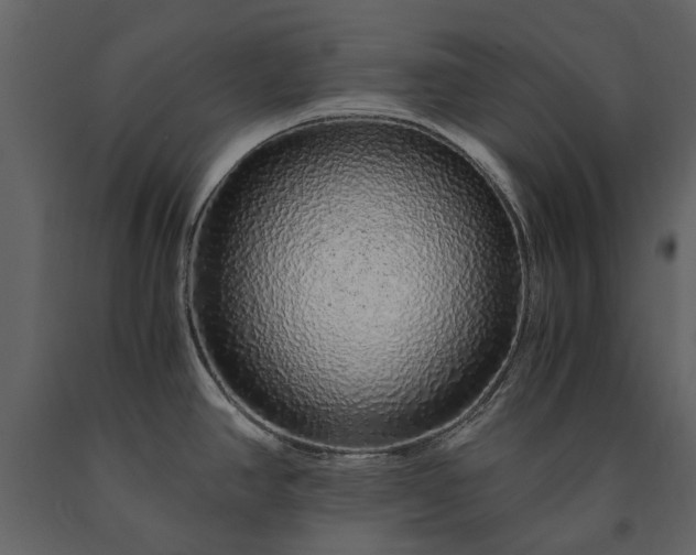 X0000091181390200708231518