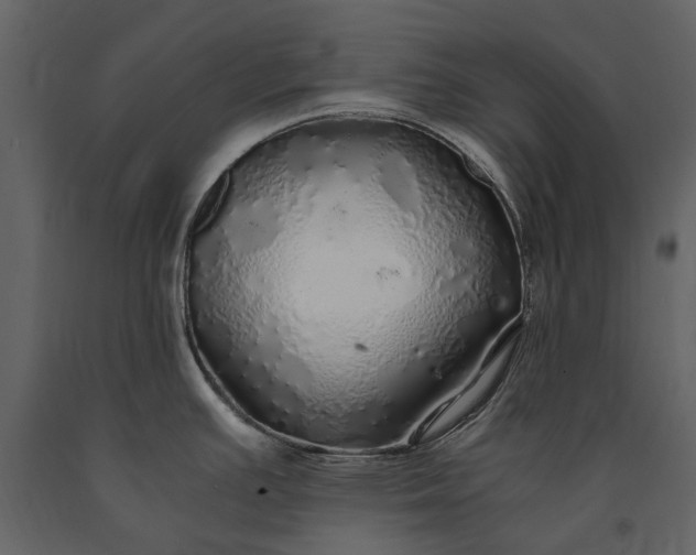 X0000091181391200708231518
