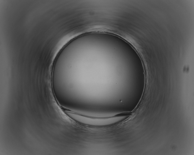 X0000091181392200708231518