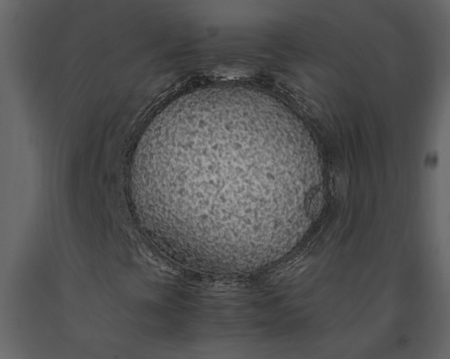X0000091181393200708231517