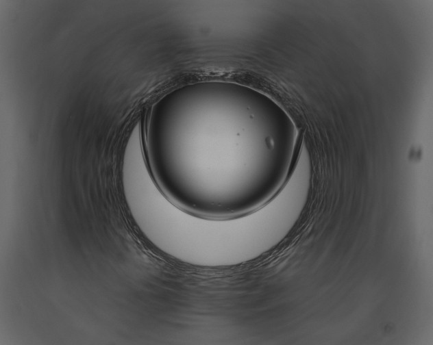 X0000091181394200708231517