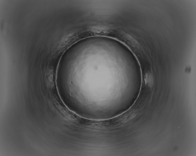 X0000091181396200708231518