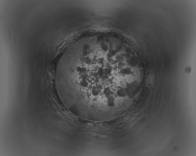 X0000091181397200708231518