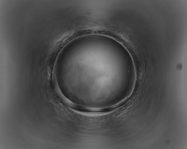 X0000091181398200708231518