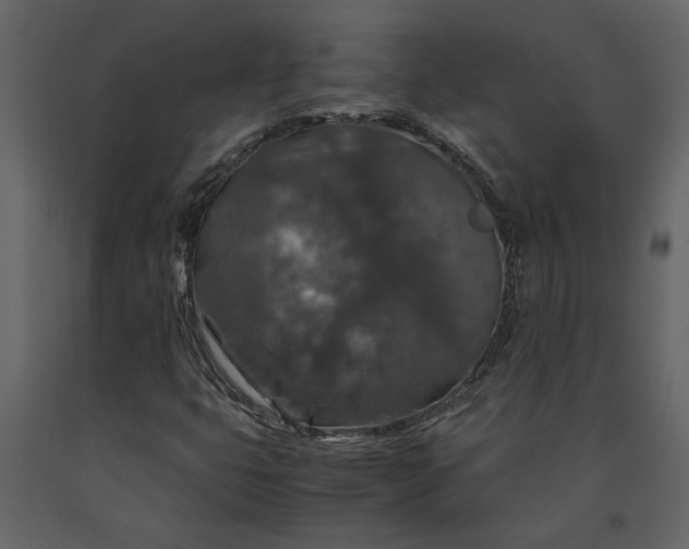 X0000091181399200708231518